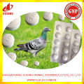 wholesale oxytetracycline tablet for racing pigeon medicine